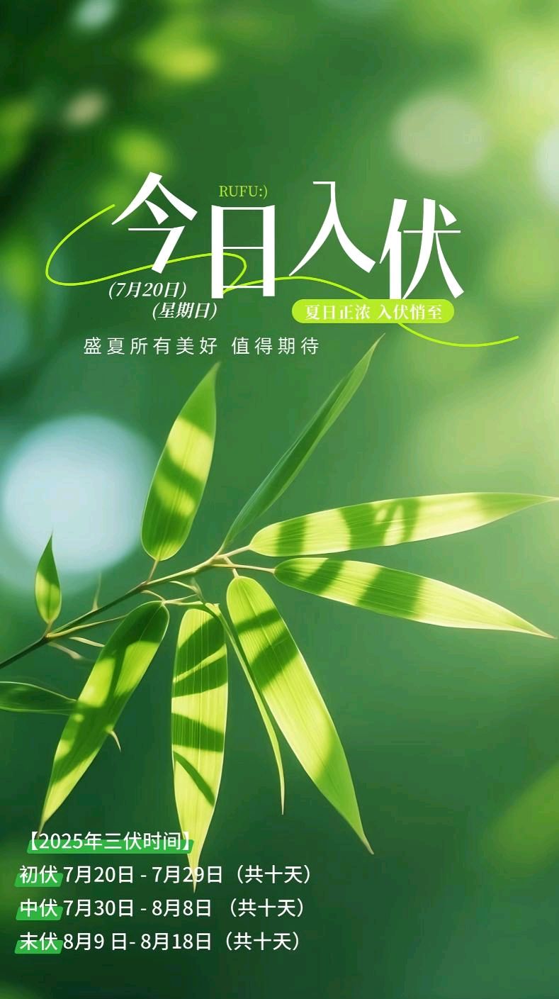 入伏天～诗◑吴永良（图11）