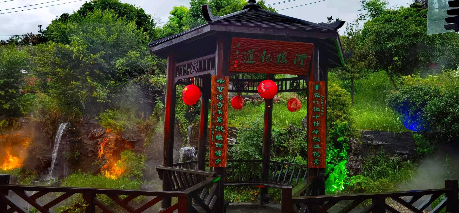 《风中的无花果》