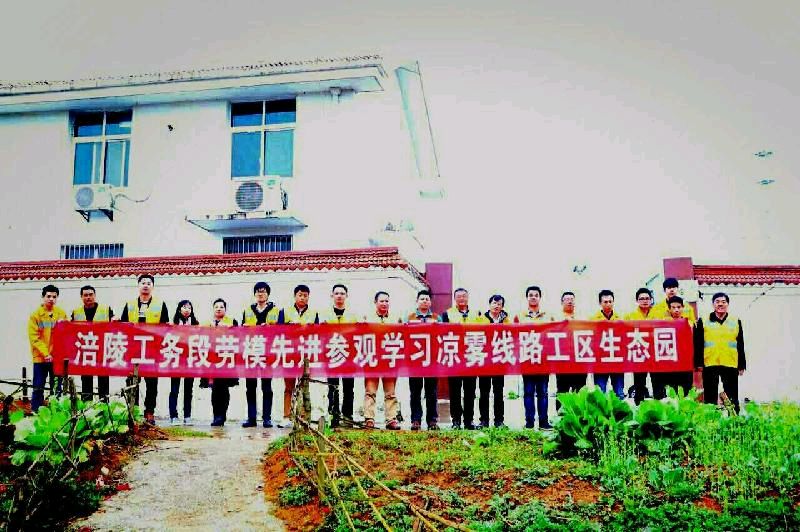 「报告文学」渝怀走出的高铁人(图25)