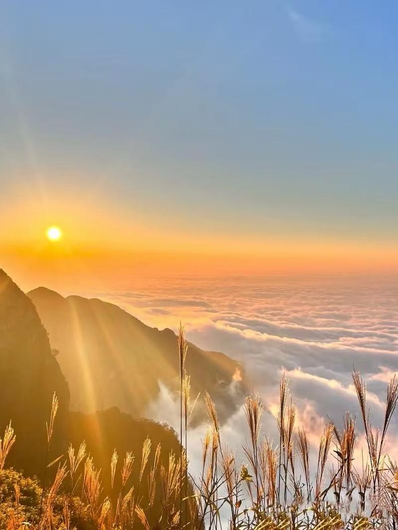 家明诵《盛夏锋芒》山之子（北京）【金话筒朗诵团】世界诗人名人展13911期（图5）