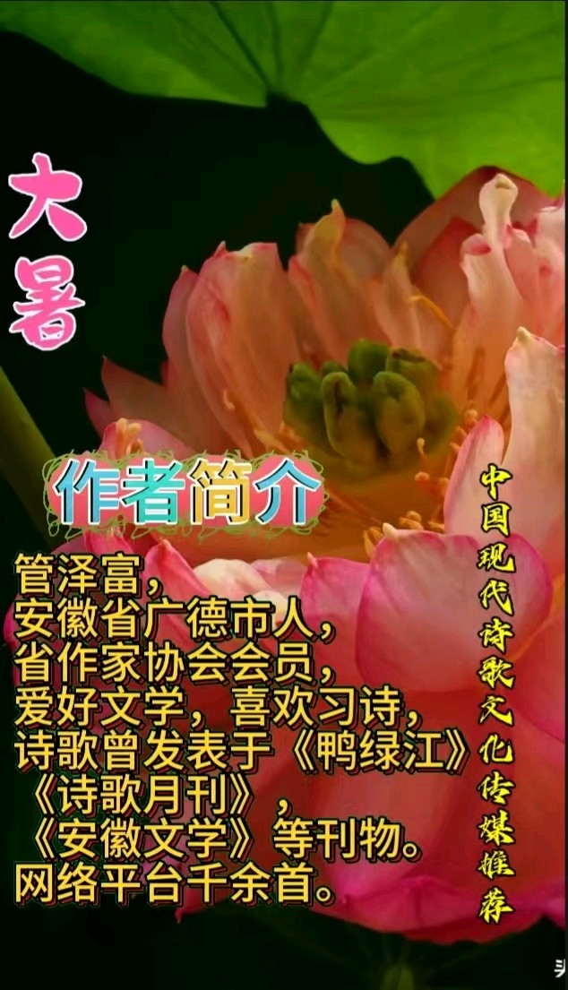 《空壳的夏》作者：管泽富 [中国现代诗歌文化传媒推荐]（图7）