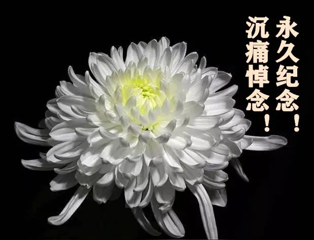 《郭小林现代古诗词七律二首》作者：郭小林 [中国现代诗歌文化传媒推荐]（图5）