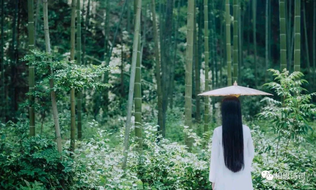 《涧石现代古诗词三首》作者：涧石 [中国现代诗歌文化传媒推荐]（图7）