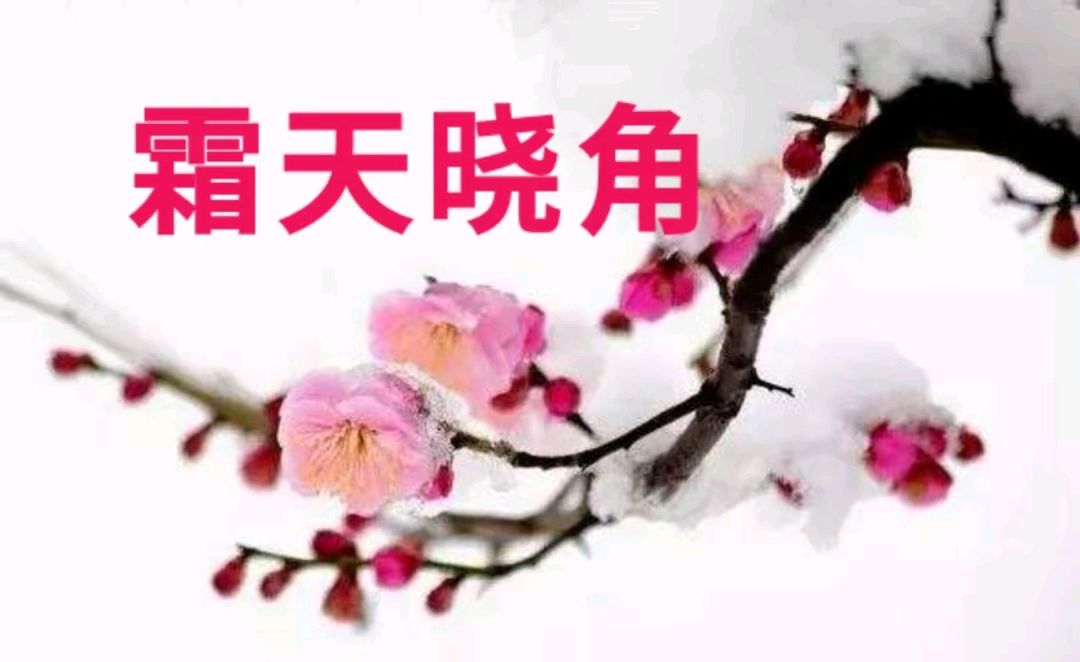 《海风现代古诗词牌赏析》作者：海风 [中国现代诗歌文化传媒推荐]（图6）
