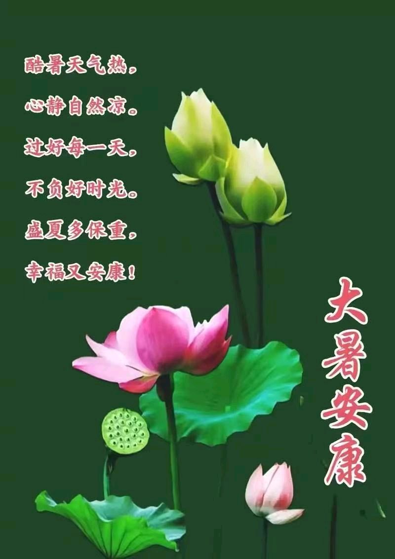 《九江文学社：北京头条》《大暑咏》组诗、楹联系列 作者/洪新爱