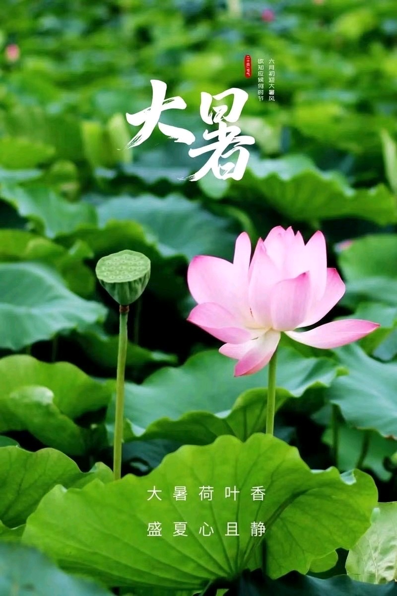 《九江文学社：北京头条》乙巳大暑节气专刊（图8）