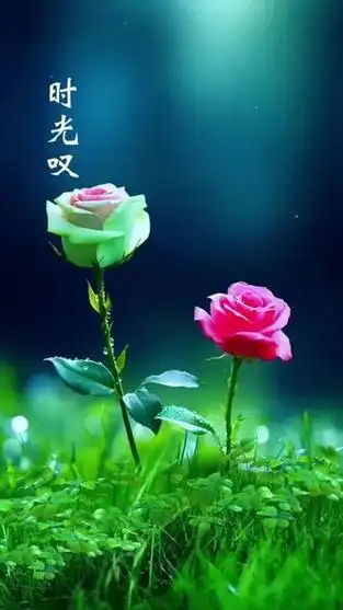 排律-风恋～诗◑雅轩琴韵（图15）