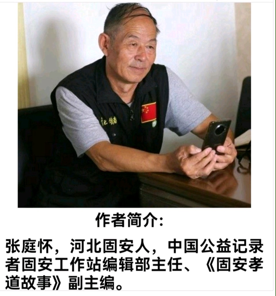 张庭怀《荷风伴慈恩，淀水藏温情——白洋淀阖家游记》（图8）