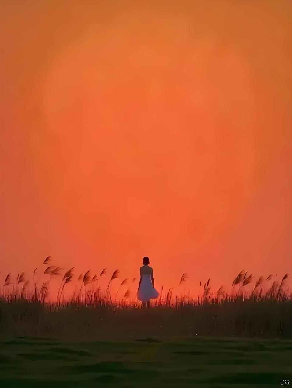 半阙旧词//作者 / 雨下罗加 朗诵 / 老菩提（图21）