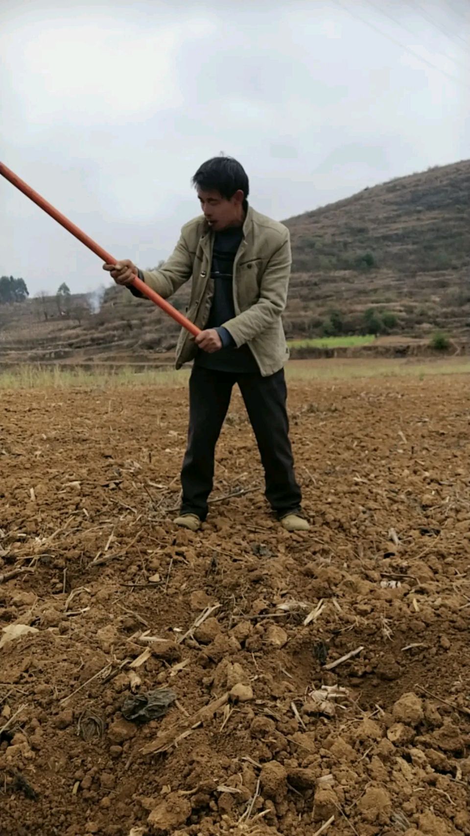 张维清老师的《一粒米》聆听主播丹桂的好声音【桃源国际诗歌文化传媒】桃源♬ 馨声（图8）