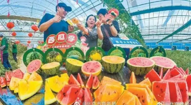 【新山东文学社】《卖瓜》作者/乡间行吟 主播/鲁怡秀凤(图5)