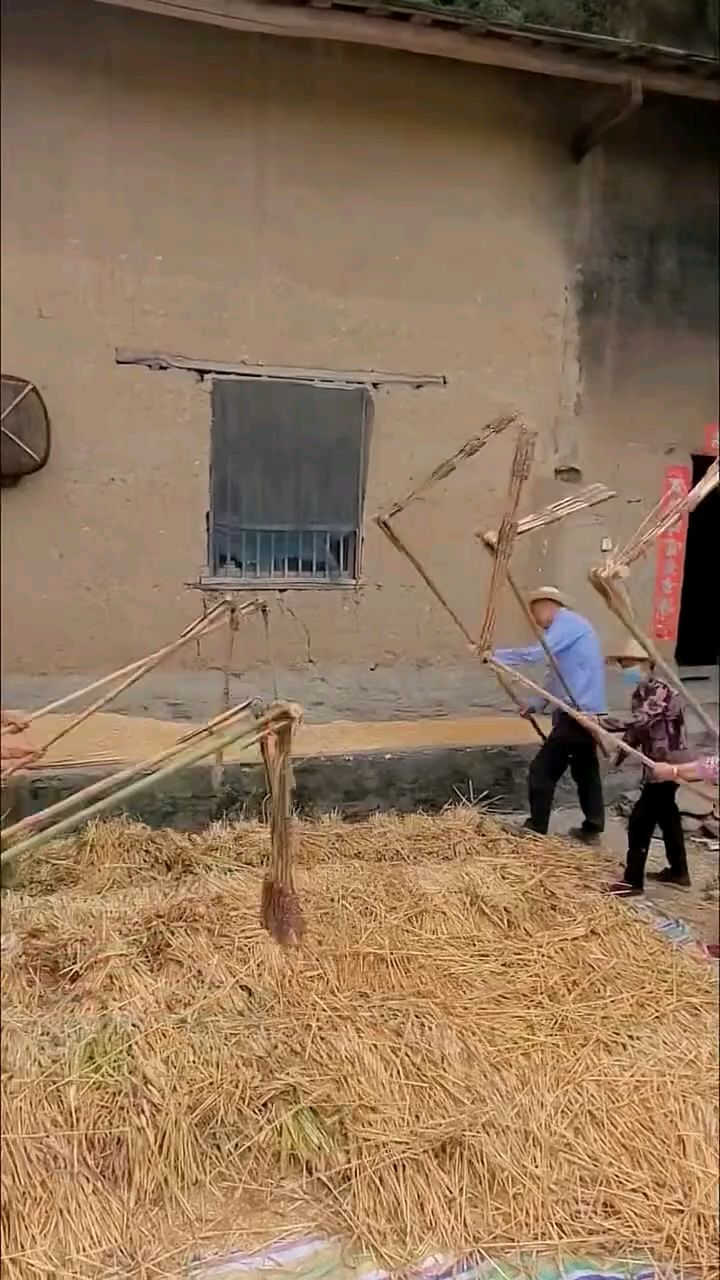 【南吕*金字经*夏粮征*】文/崔建国（图3）