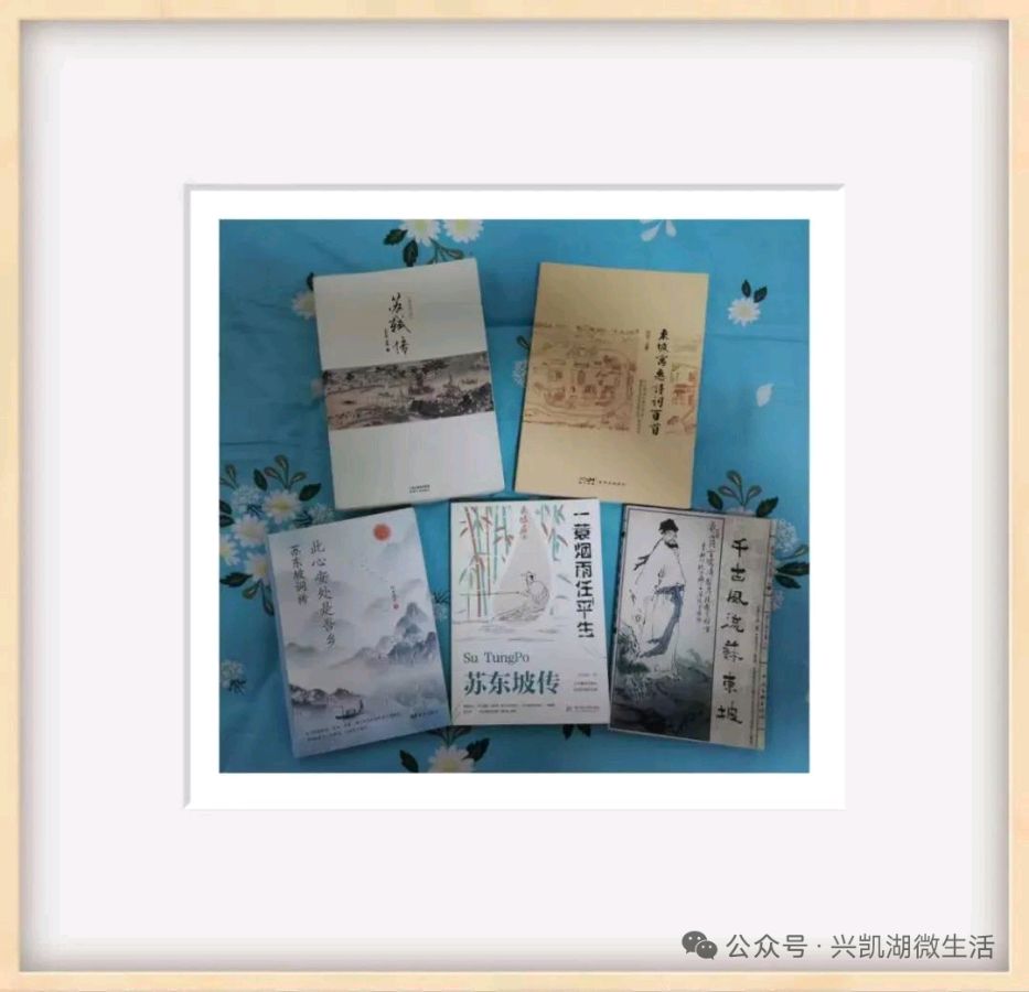 【游记】一蓑烟雨任平生——参观惠州东坡纪念馆/作者：王夫（图21）