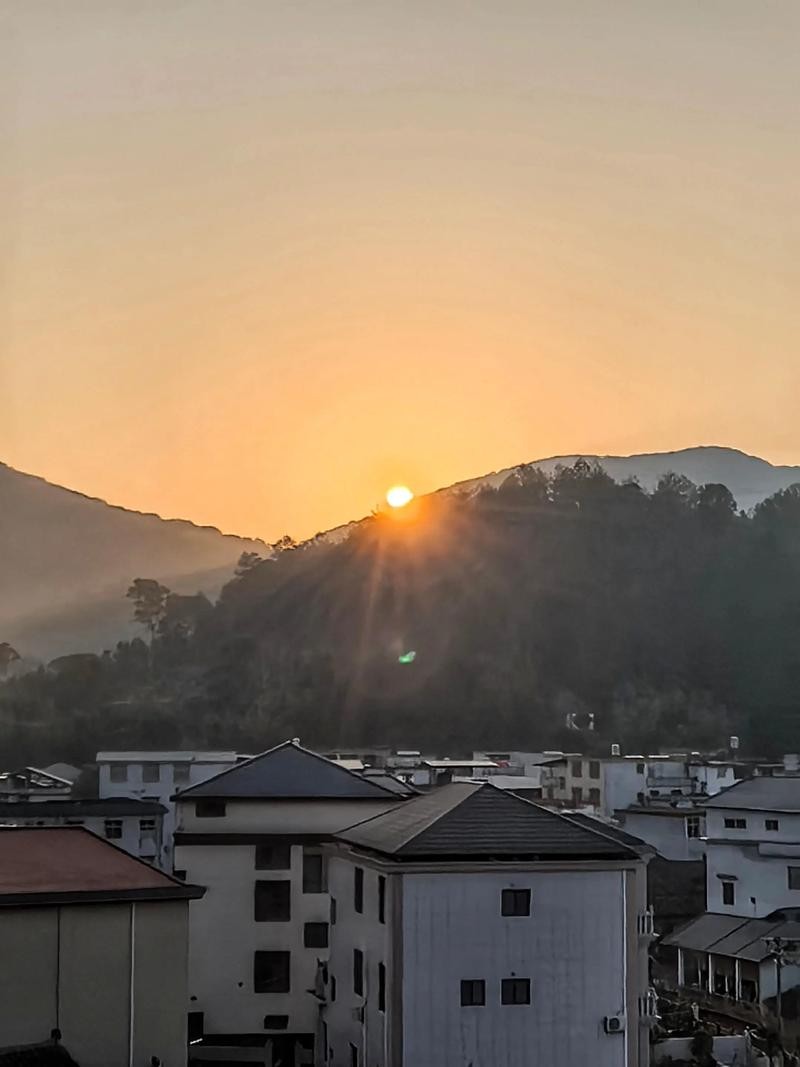【枫雅汇看图约诗】第396期《夏晨》(图5)