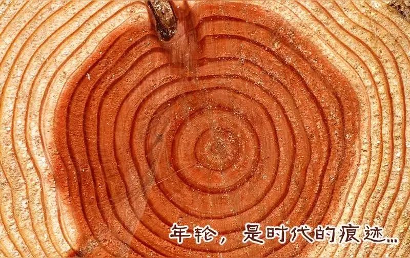 《龙游天下创作现代诗二首》作者：龙游天下 [中国现代诗歌文化传媒推荐]（图5）