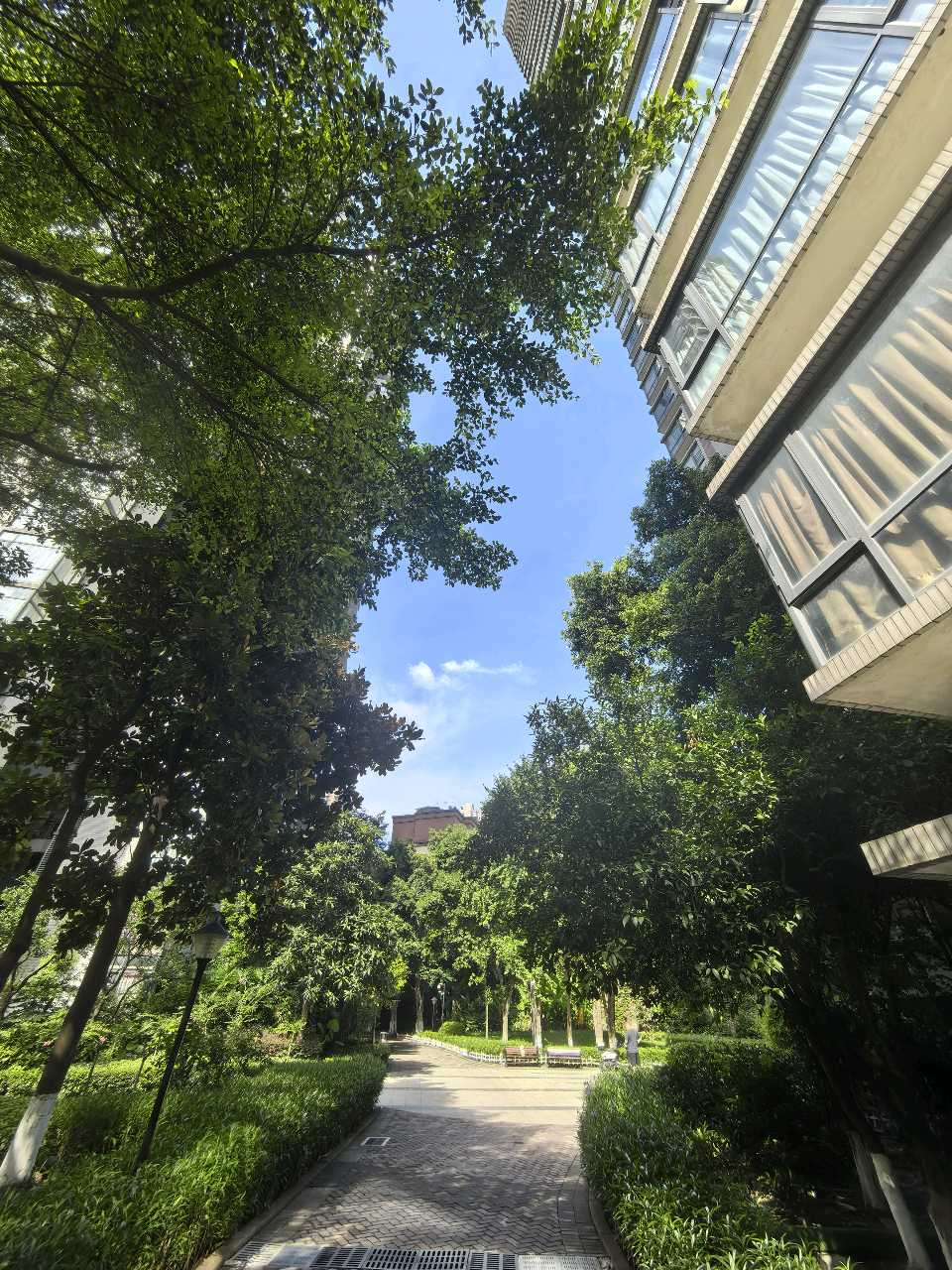 「散文」白云离去，蓝天与蝉鸣中的山城盛夏（图5）