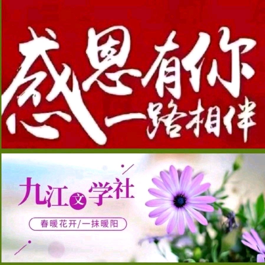 《九江文学社：北京头条》梅宁生老师诗歌欣赏：蜻蜓（外二首）（图8）