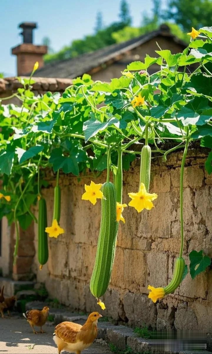 人间晚炊（图3）