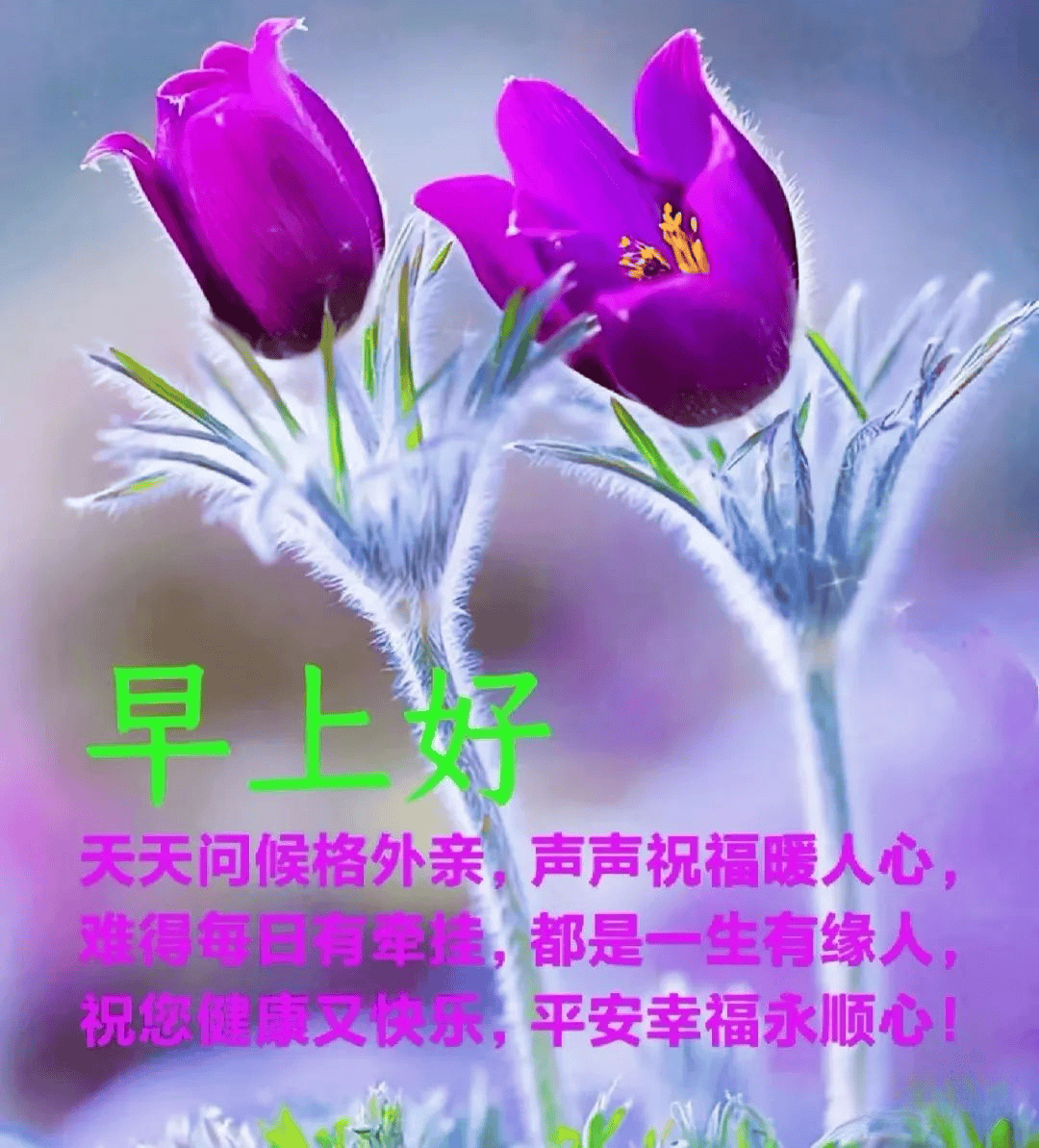 张希诵读 《清晨醒来，问您早安》 作者：任学路（图3）