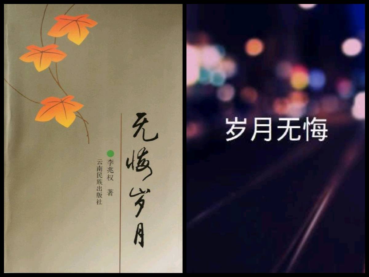【经典推荐】昨夜天//今夜的雨 可否为谁停留（图3）
