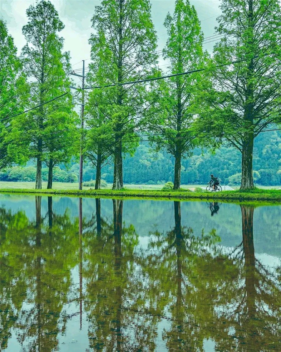 自由体《随行》文/郑金波（图3）