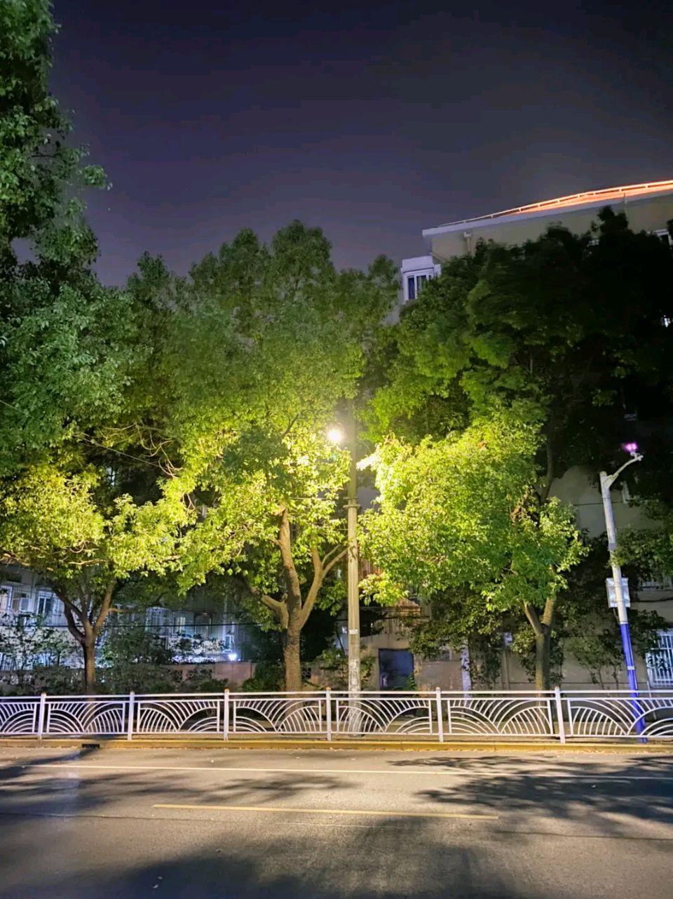 量子诗歌“七嘴八舌”说诗评诗系列之王红民副主席的《刺骨寒》带你走进无法言喻却又以诗的形式来感受彻骨之寒——文化强国量子诗歌文化传媒（图18）