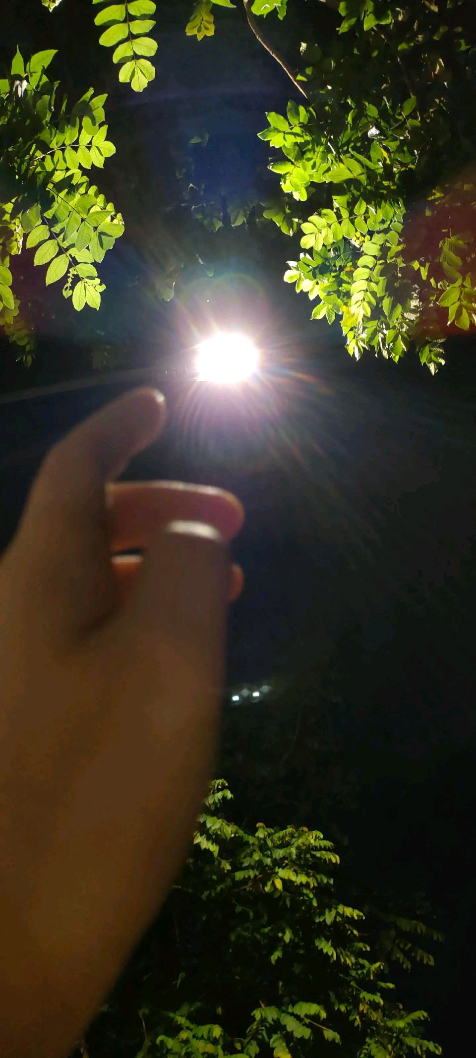 量子诗歌“七嘴八舌”说诗评诗系列之王红民副主席的《刺骨寒》带你走进无法言喻却又以诗的形式来感受彻骨之寒——文化强国量子诗歌文化传媒（图36）