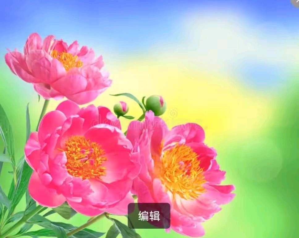 「散文诗」威武之师扬军魂‖写在建军98周年之际（图21）