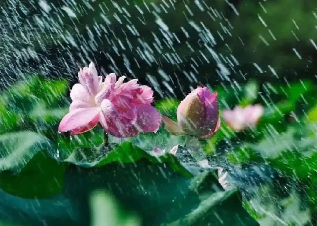 风中的时间||文/小节（图2）