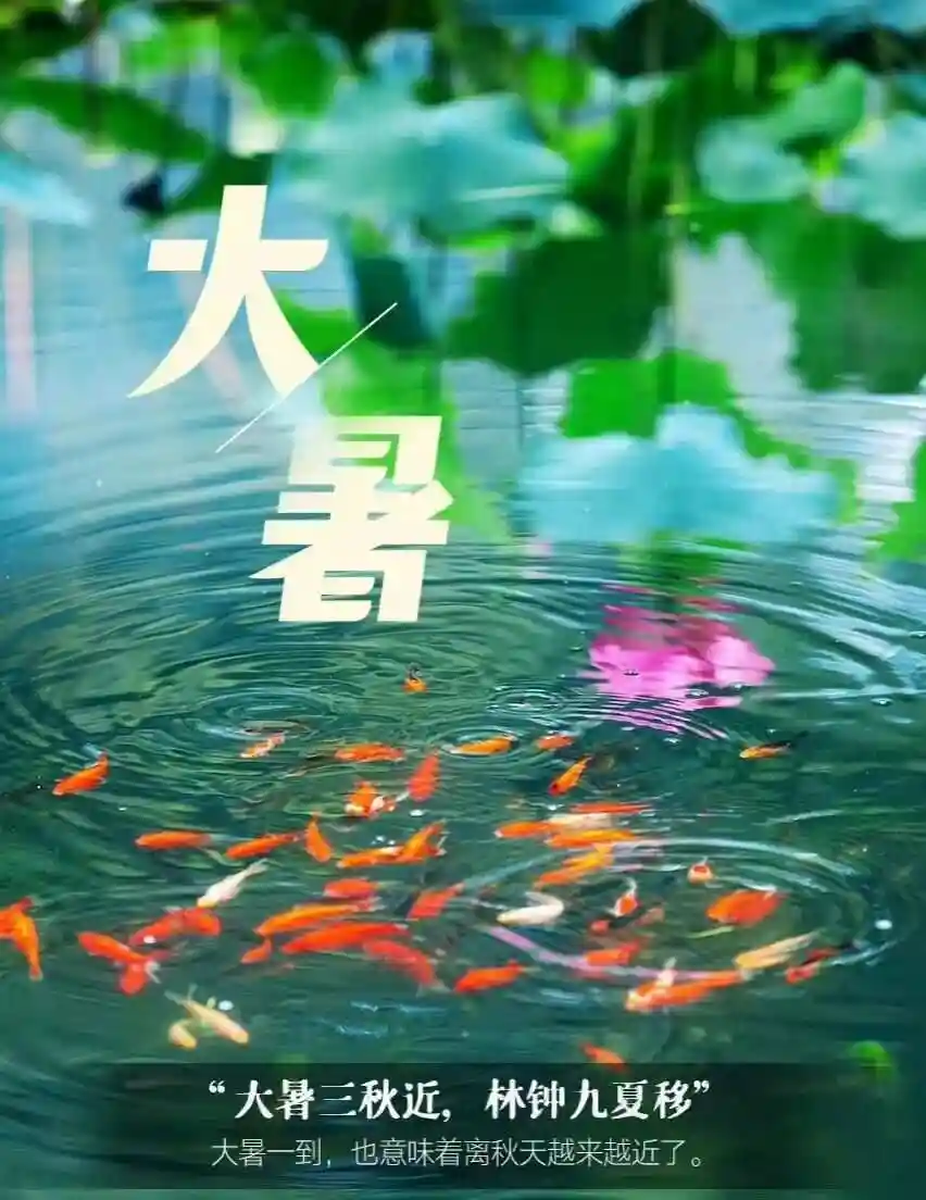 【国风燕赵诗社】2025年第21期(总第48期)综合刊与您共享!《北京头条》(图19)