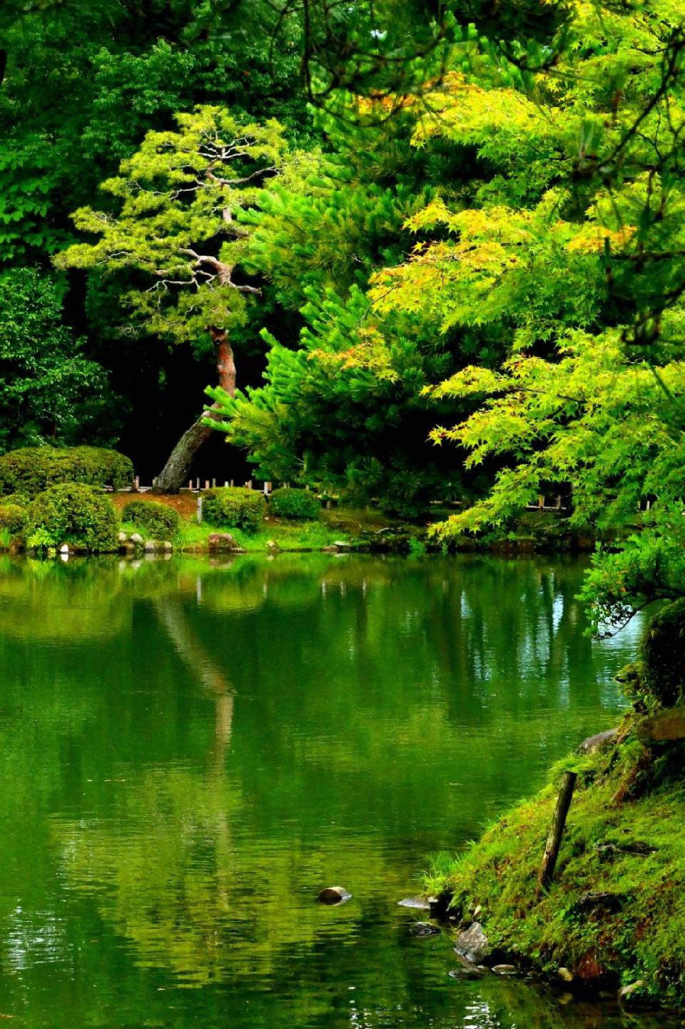 【神都诗社】第130期《夏日偶题》（图19）