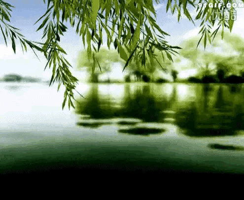 《郭小林现代诗人创作现代古诗七律及词牌赏析》作者：郭小林 [中国现代诗歌文化传媒推荐]（图6）