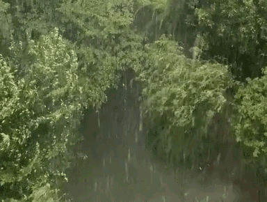 【荣耀中国】排律《及时雨》 丰茂春作.山东（图3）
