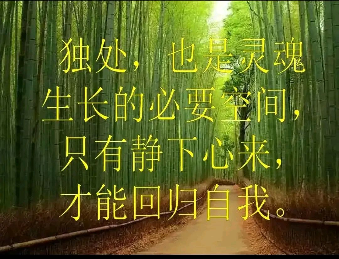 《独处不孤独》作者：田歌 [中国现代诗歌文化传媒推荐]（图5）