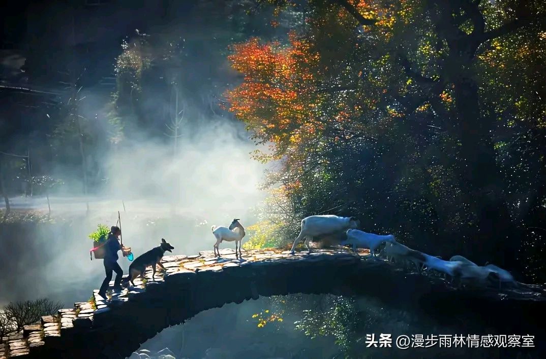 《涧石现代诗及现代古诗鉴赏》作者：涧石 [中国现代诗歌文化传媒推荐]（图8）