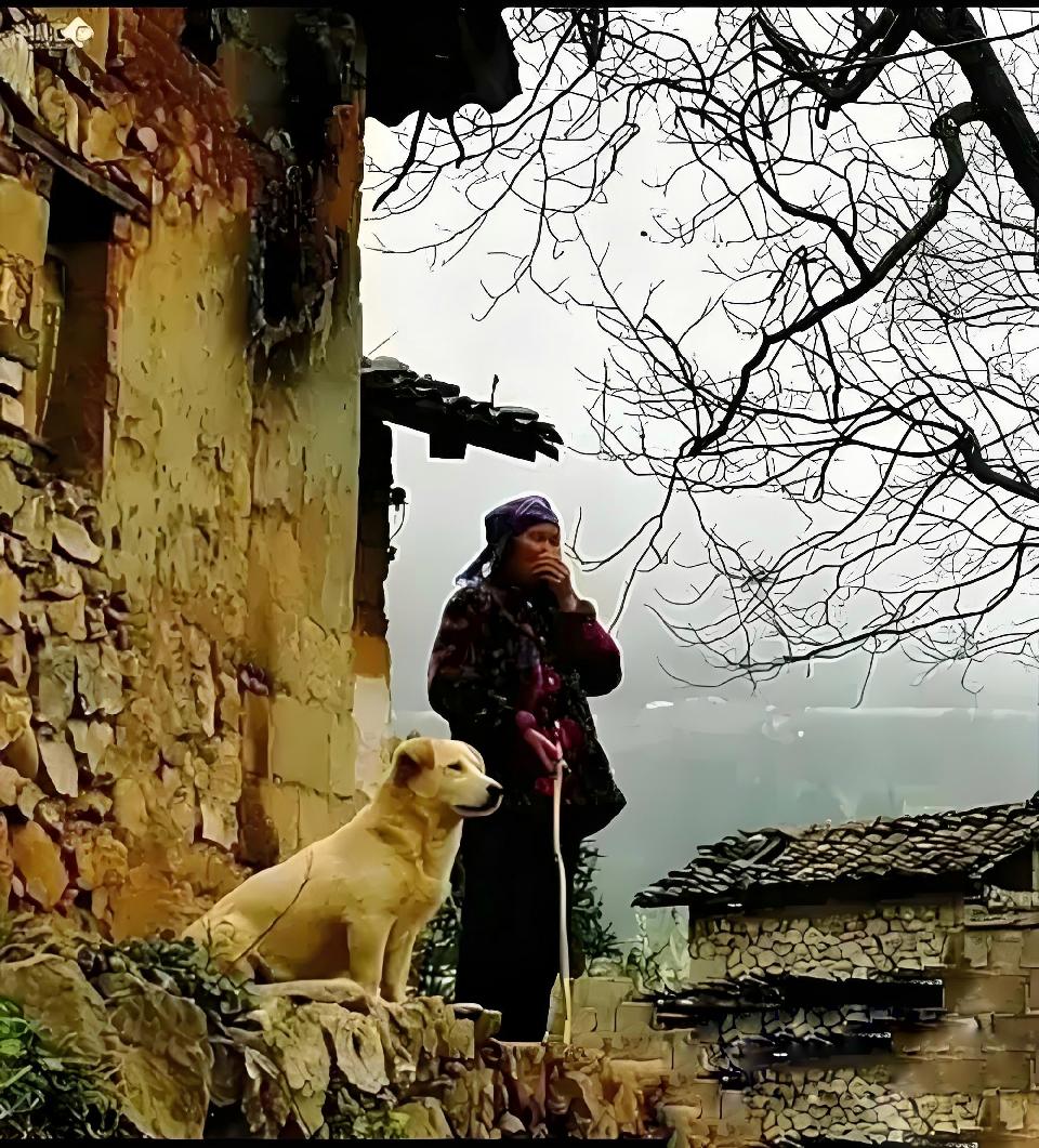 送娘远行 ///作者：雨下罗加 诵读：老菩提（图4）