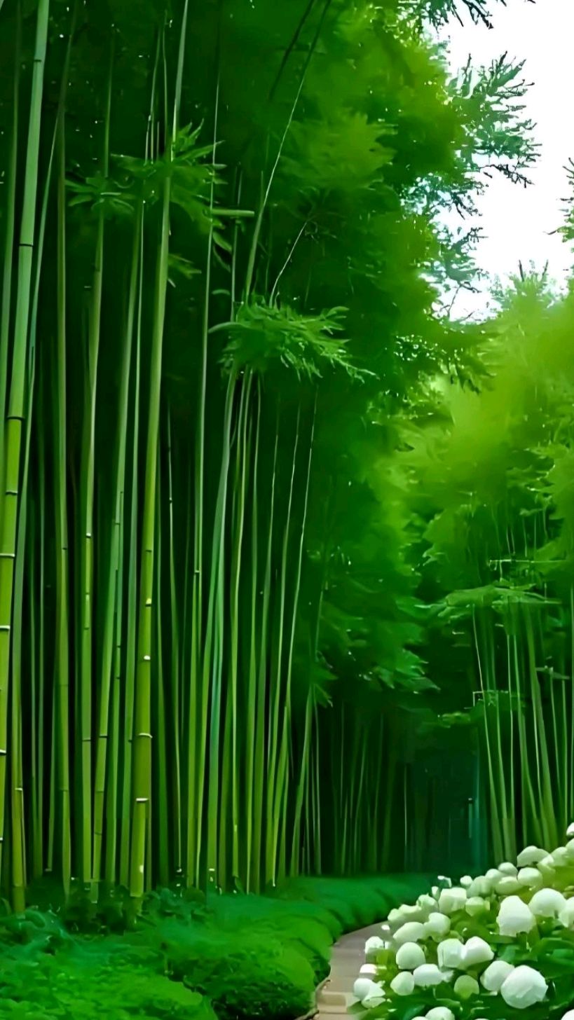 《七绝 • 警醒》文/杨子钦（河南）（图3）