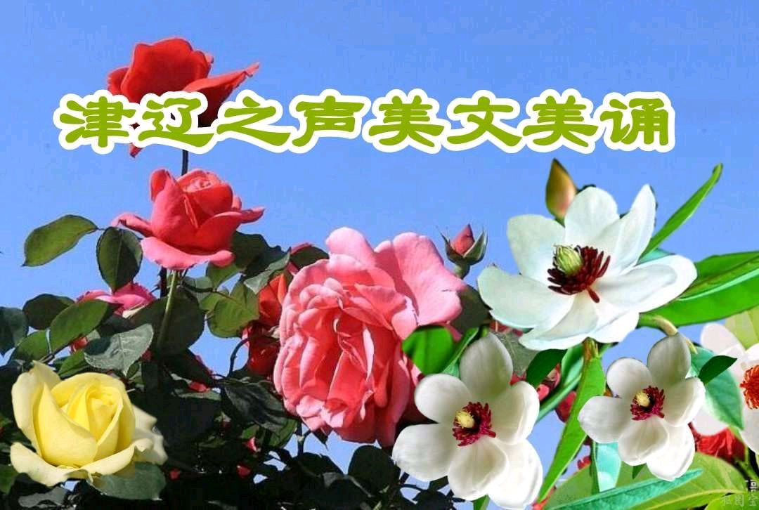 【馨语文苑】天津总社/张宗锁《楷模——记最美退伍军人王贵武的感人事迹》诵读/成于乐（图2）