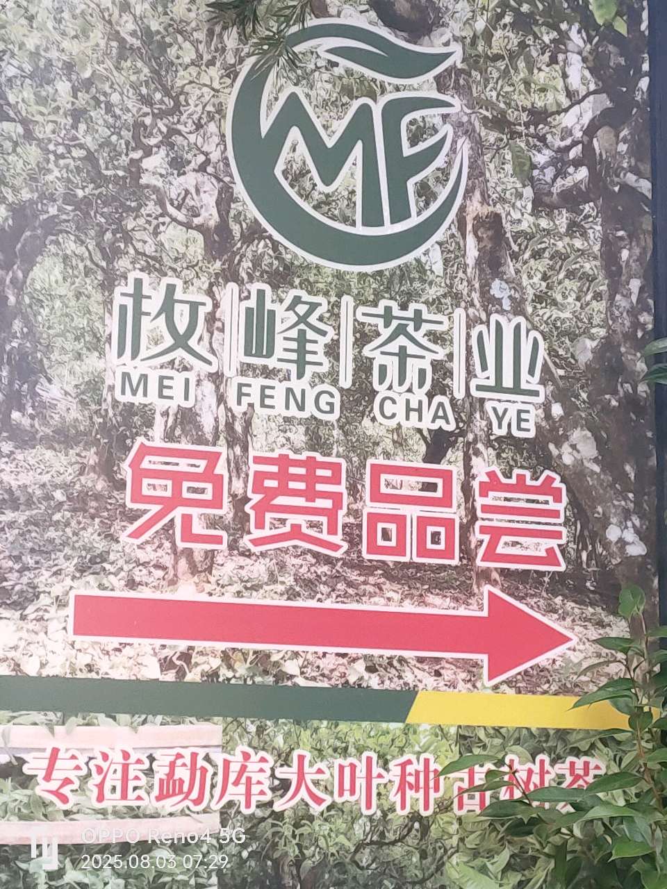 诗五首/回边防老部队驻地滇南双江行吟/金铁龙原创诗词首发(音频为作者在联欢会上的演奏)（图8）