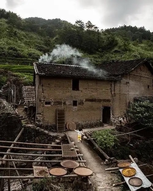 吴秀文朗诵：《思念故乡》作者||高秀军｜海外头条（图6）