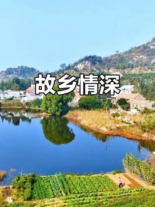 吴秀文朗诵：《思念故乡》作者||高秀军｜海外头条（图7）