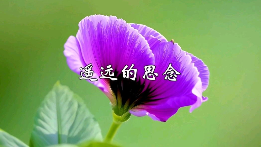 《大兜的日记》26.梦中再见 文/大兜