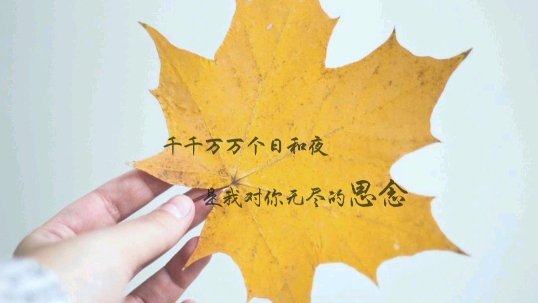 《大兜的日记》26.梦中再见 文/大兜（图6）