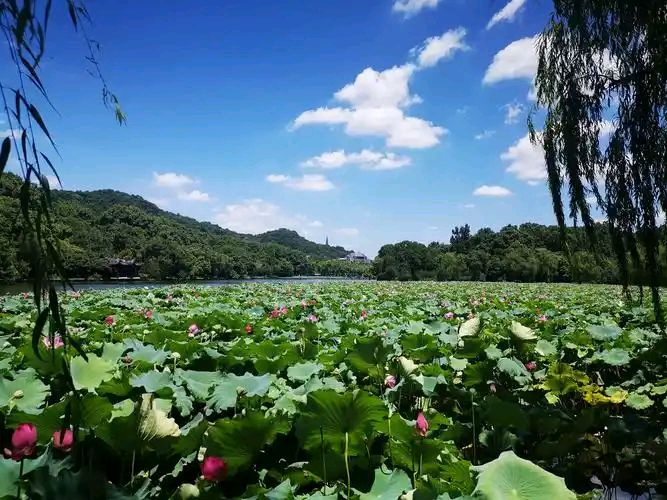 夏月卖瓜老人(外一首) 作者:田兴才（图3）