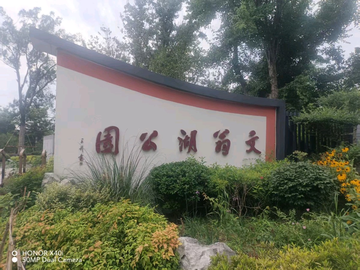 柳中平：《游文翁湖公园》