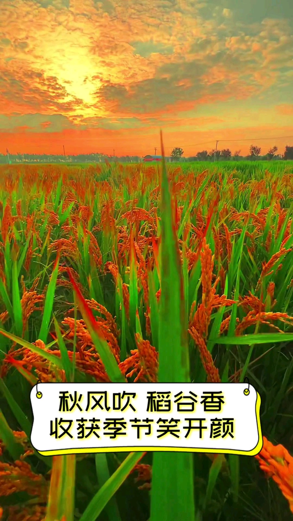 立秋～诗◑李耀文（图15）
