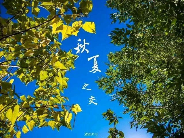 《龙游天下现代古诗词牌赏析》作者：龙游天下 [中国现代诗歌文化传媒推荐]（图7）