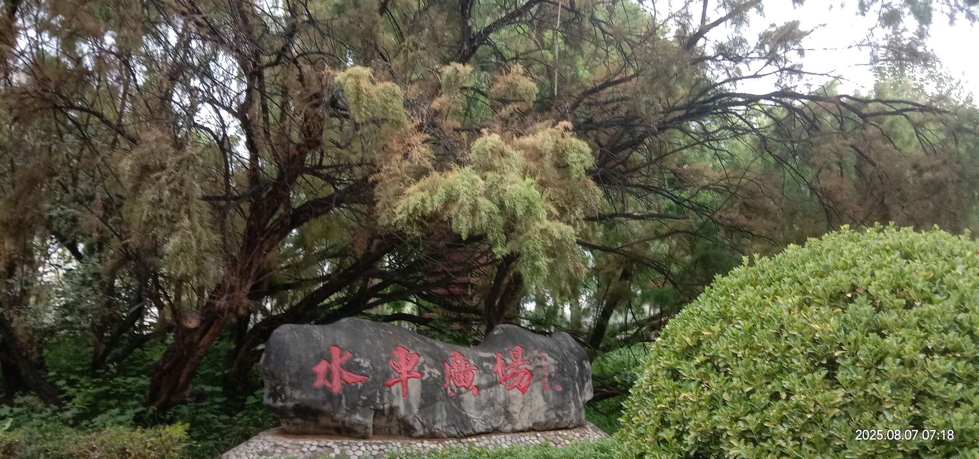 《重游水车博览园之怀古人》文/巨有斌（图2）