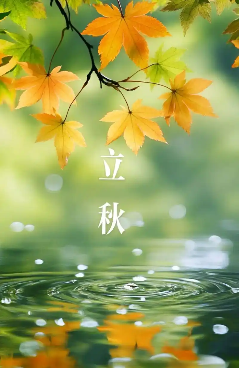 立秋‖巴彦诗协【953】（图4）