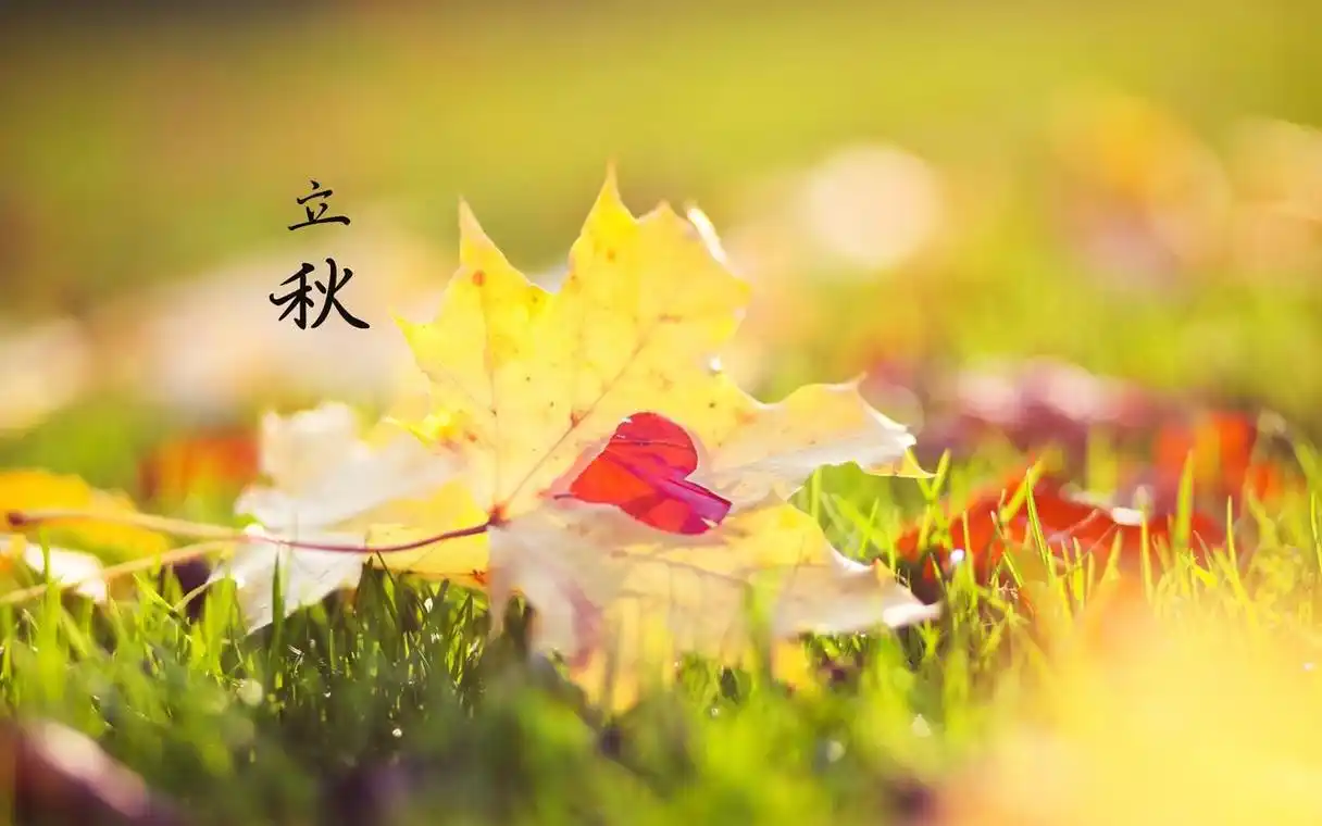 立秋‖巴彦诗协【953】（图6）